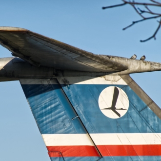 foto: Andrzej Wodziński