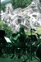 VisualConcert, styczeń 2022