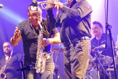 Pannonica 2017