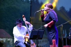 Pannonica 2018