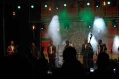 Pannonica 2015