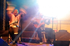 Pannonica 2015