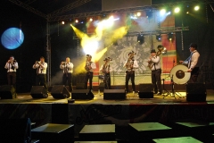 Pannonica 2015