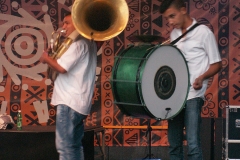 Pannonica 2014