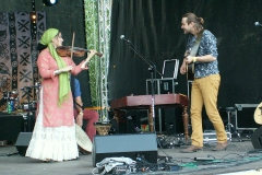 Pannonica 2014
