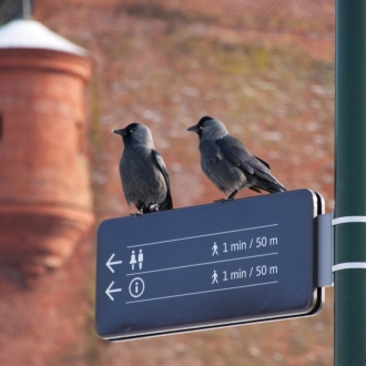 Kraków - zima, foto: Andrzej Wodziński