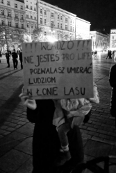 Kraków, listopad 2021
