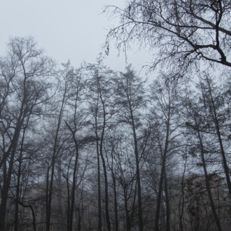 foto: Andrzej Wodziński